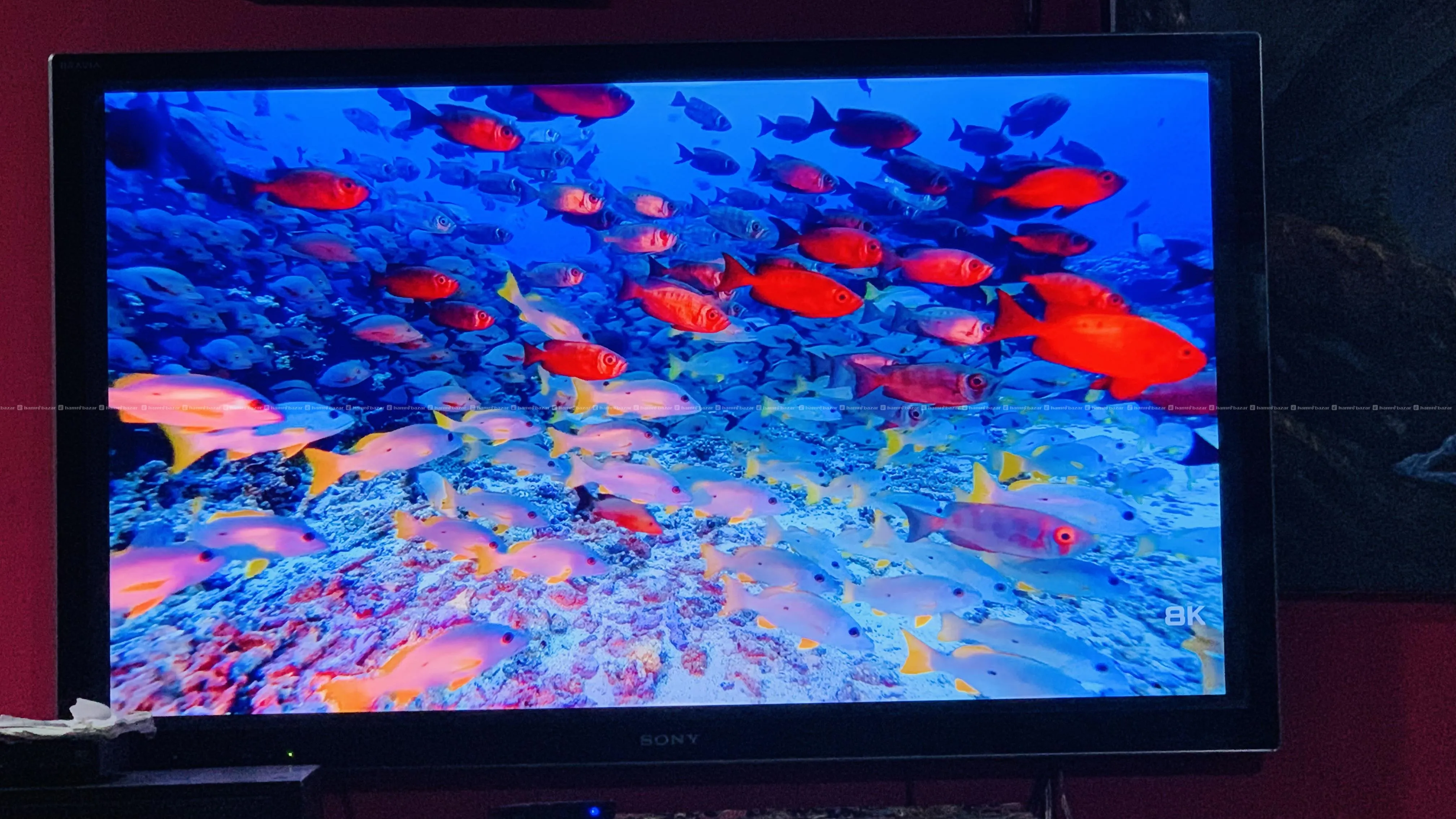 sony 3d tv and 3d commbo 5