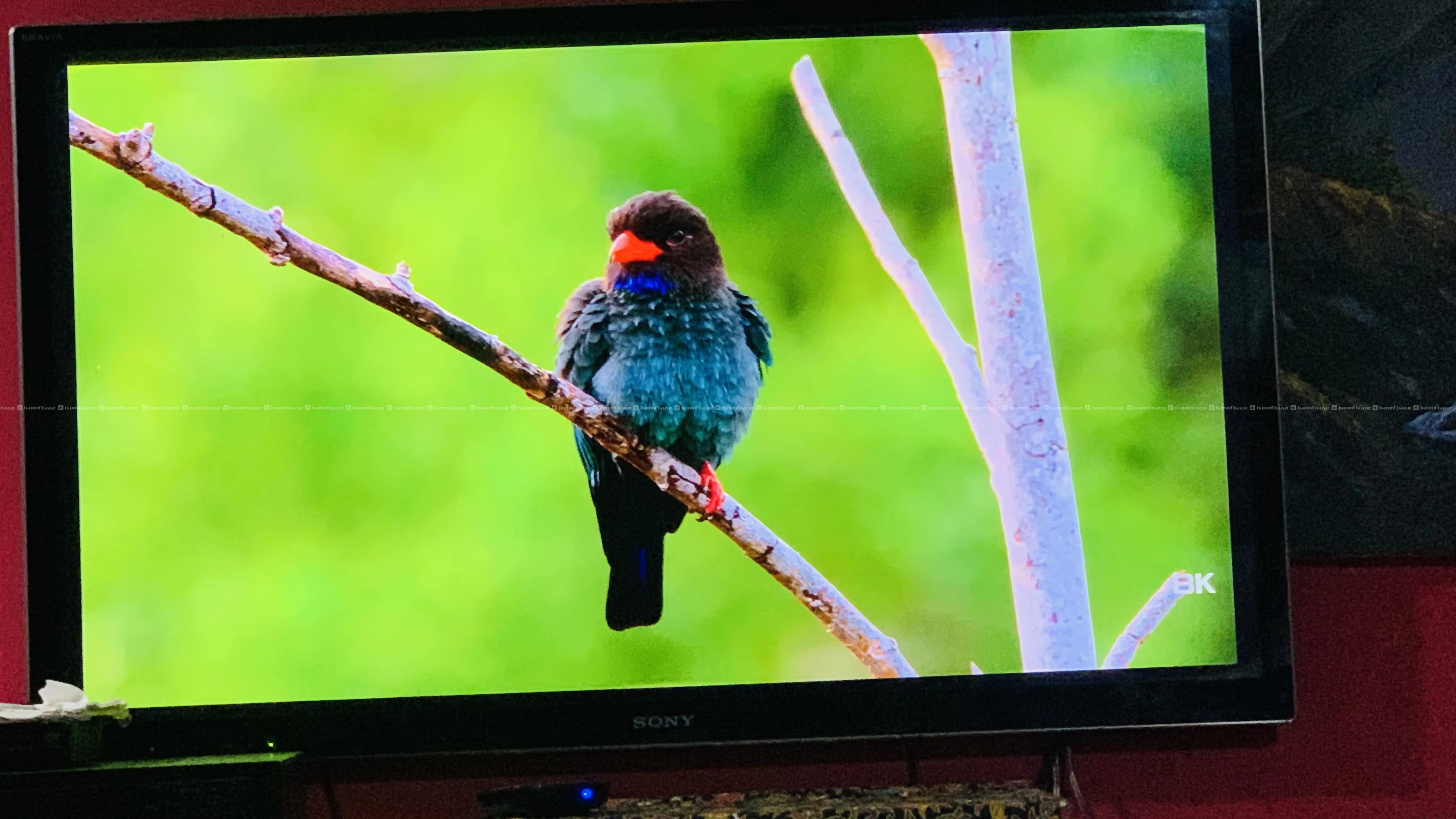 sony 3d tv and 3d commbo 6