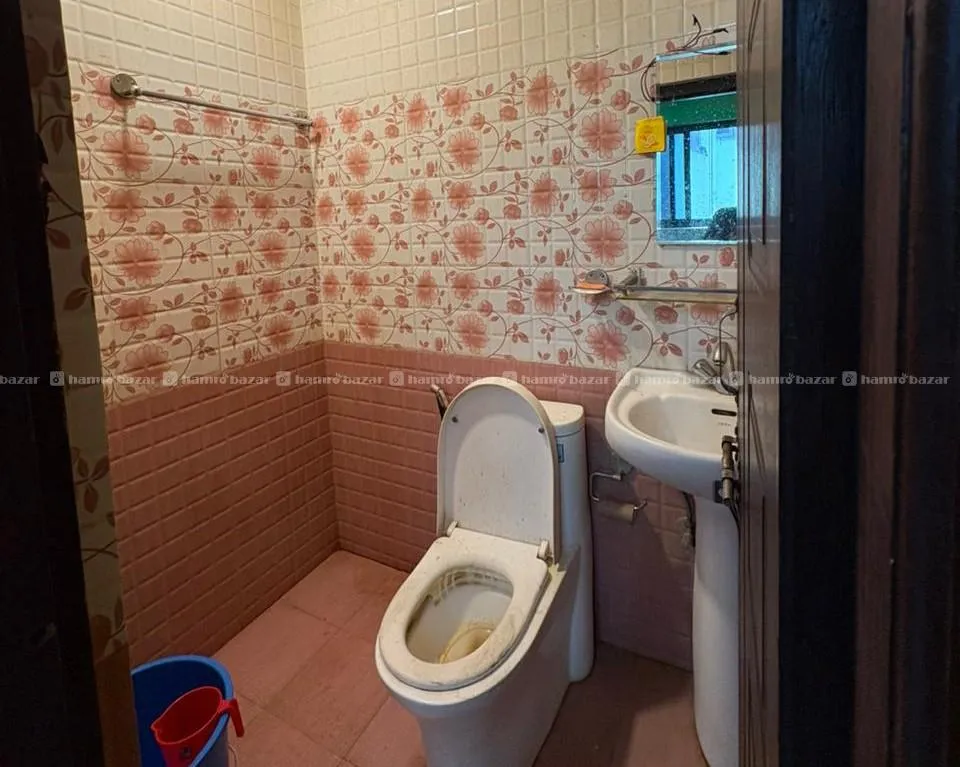 1BHK Flat on Rent 3