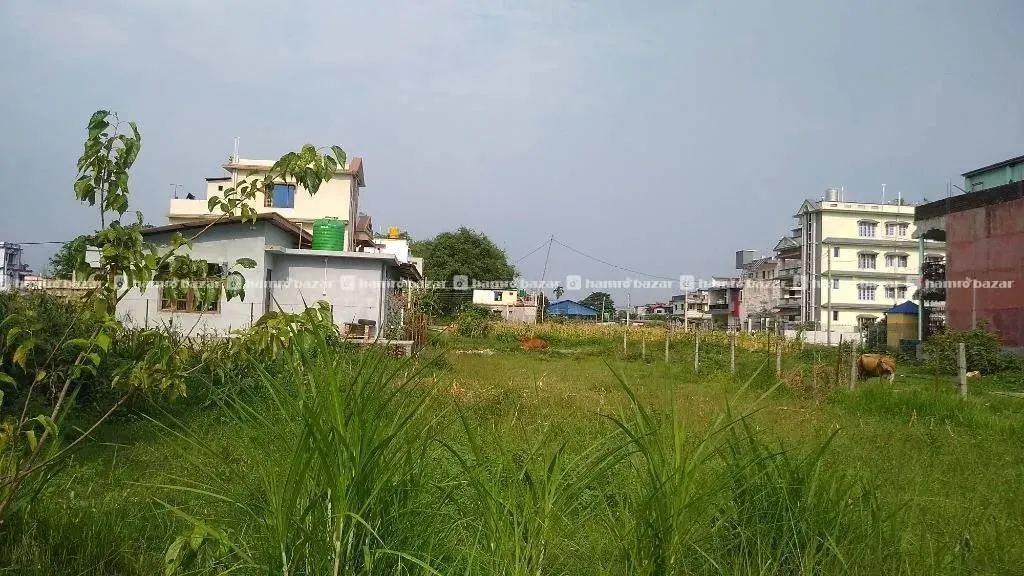 Jhapa Birtamod Land on Sale 3