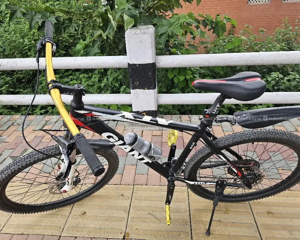 original Giant bike 38000 2