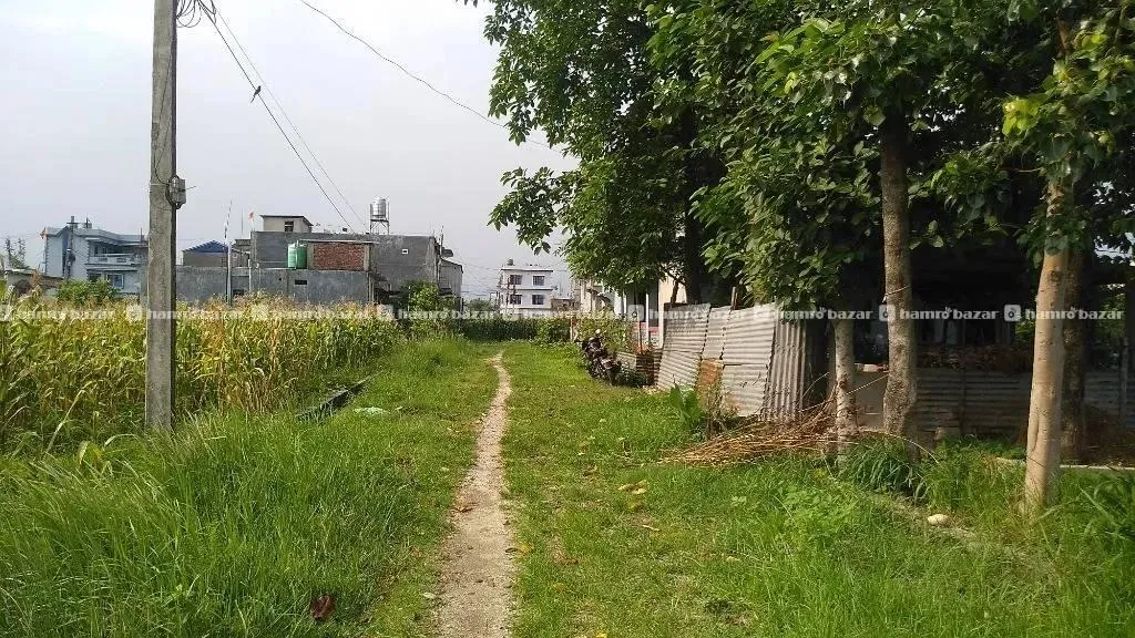 Jhapa Birtamod Land on Sale 5