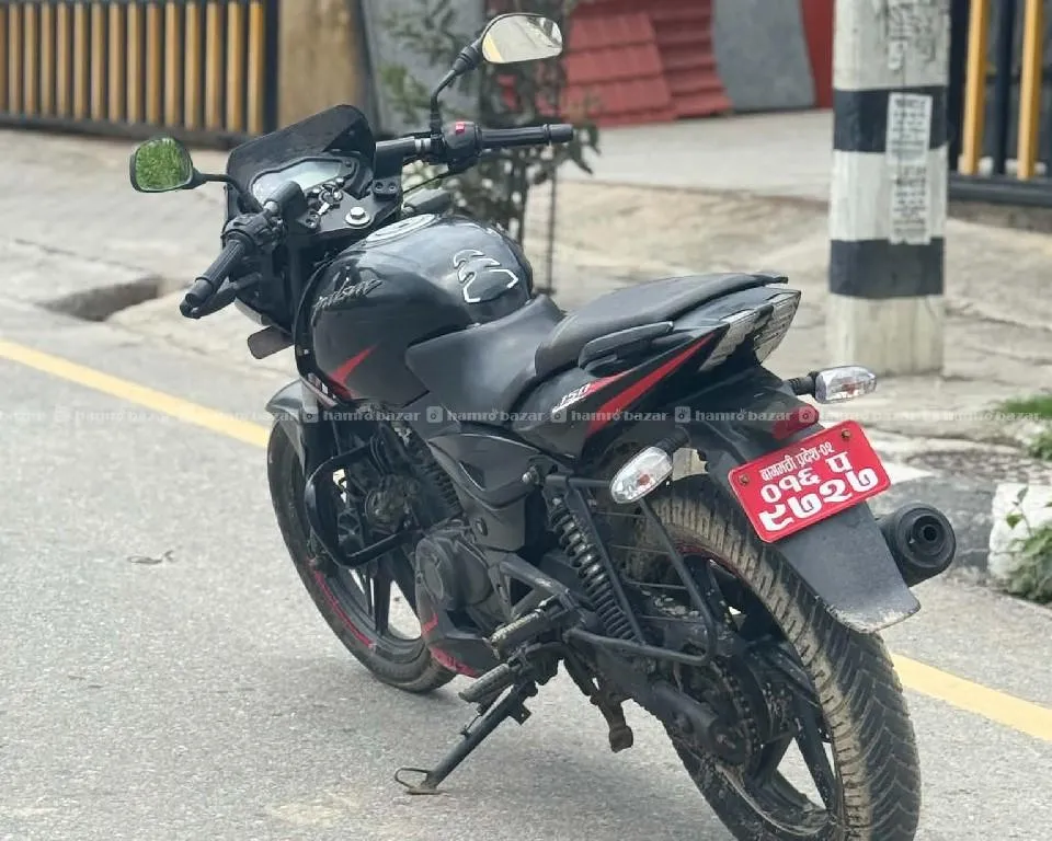 pulsar 150cc 116lot 2020model super fresh 3