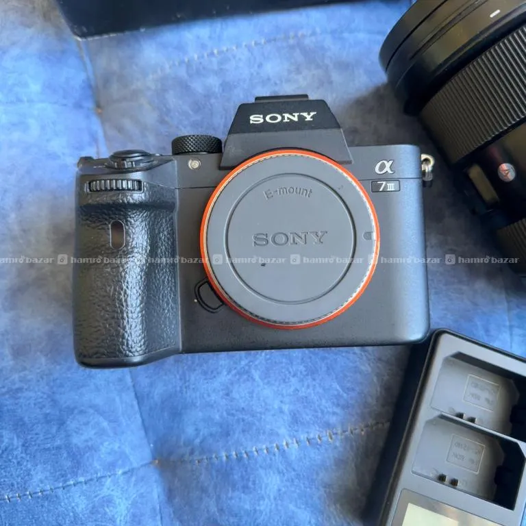 Sony A7iii With Sigma 24-70mm F2.8 Lens 4