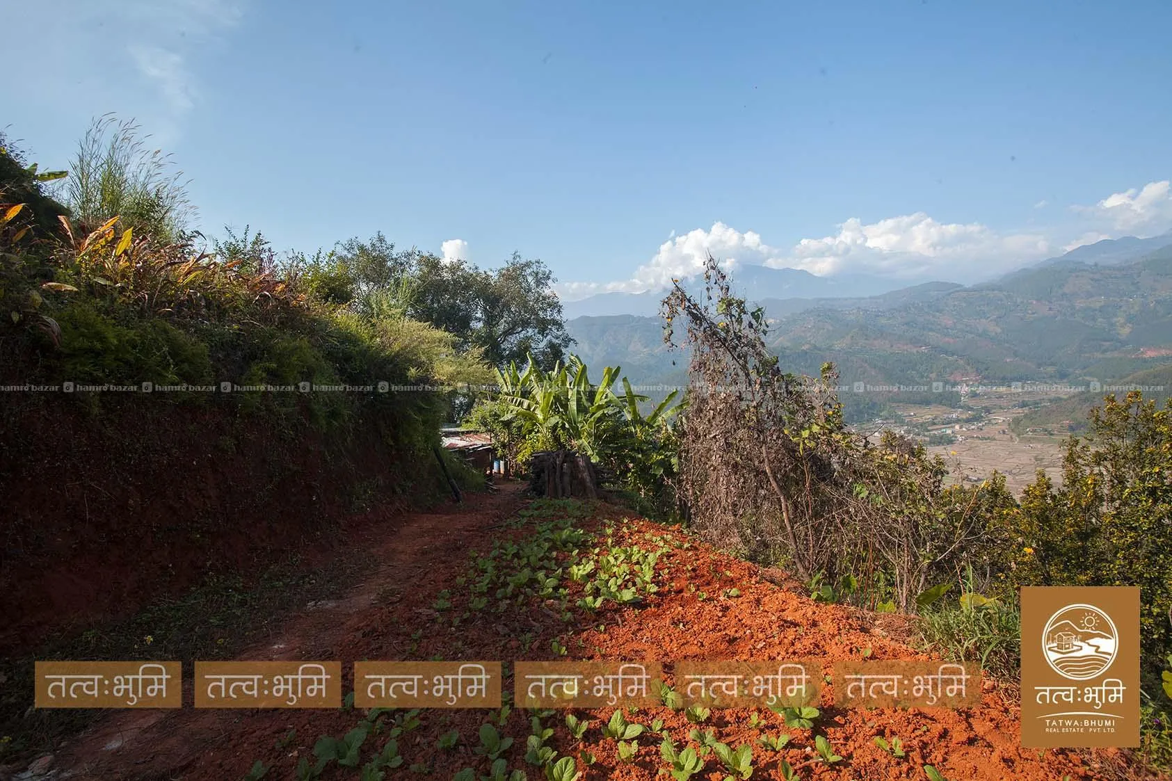 7 Ropani land for sale in Dhikure - Nuwakot. 5