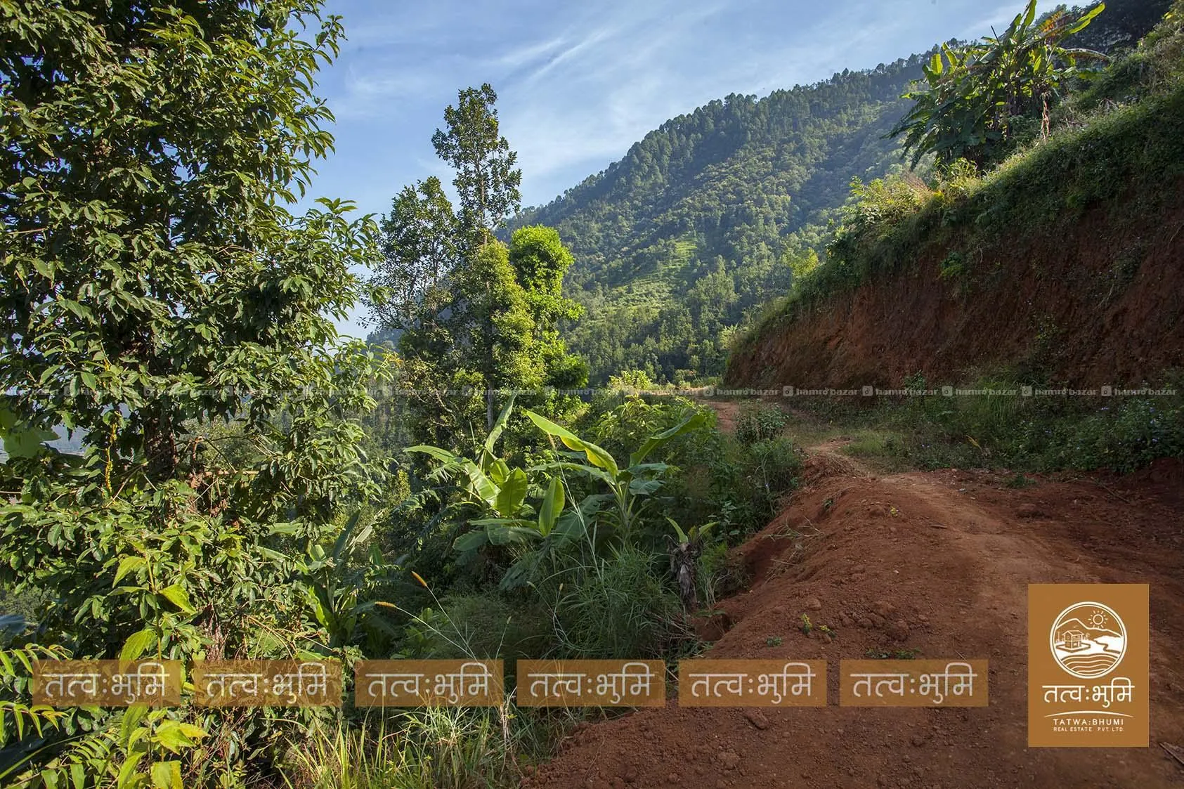 7 Ropani land for sale in Dhikure - Nuwakot. 7