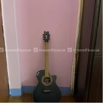 Guitar 5