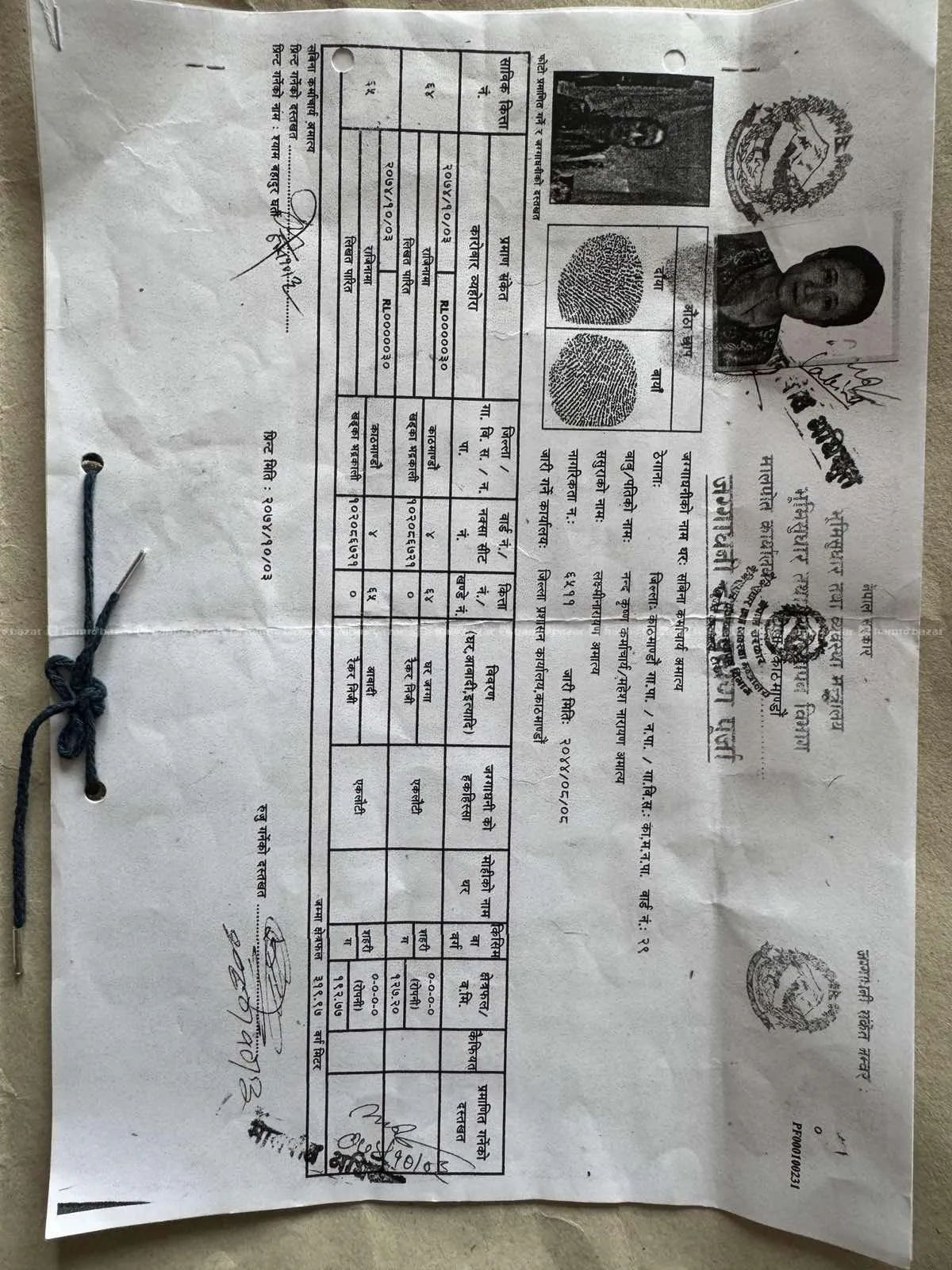 पासिकोटमा १० आना जग्गा सस्तोमा बिक्री 6