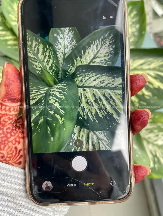 Iphone 11 | 128 GB with case 3