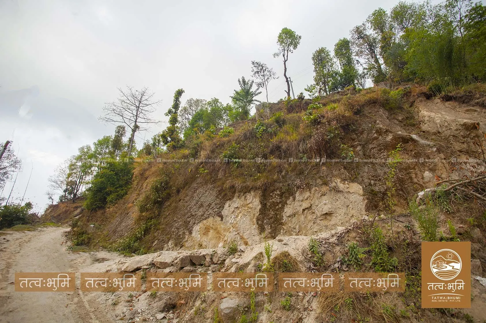10 Ropani land for sale in Kholegaun - Nuwakot. 6