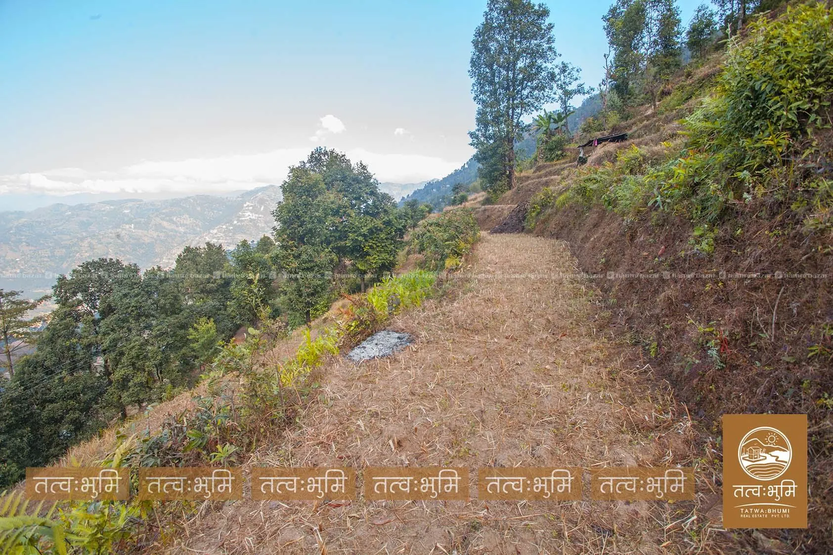 10 Ropani land for sale in Kholegaun - Nuwakot. 5