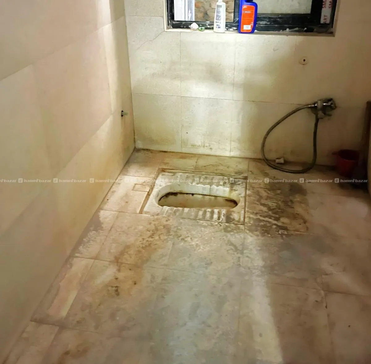 Newly Refurbished 1BHK Flat Rent in Baluwakhani 2