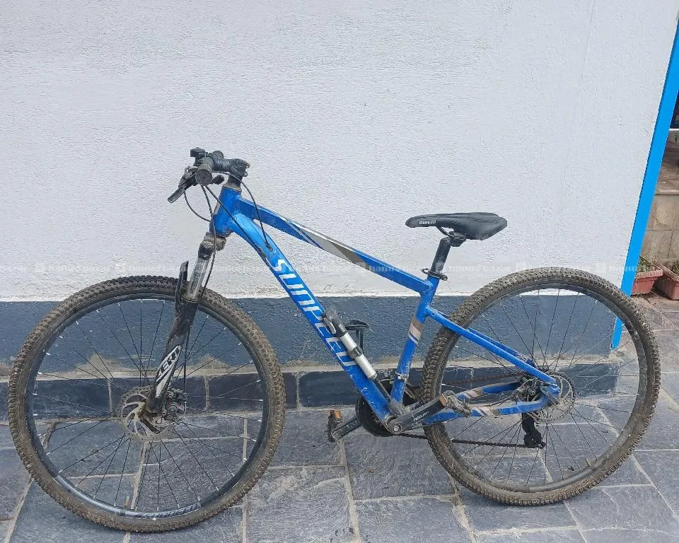 Gear Bicycle 3