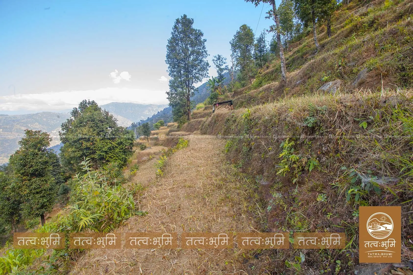 10 Ropani land for sale in Kholegaun - Nuwakot. 2