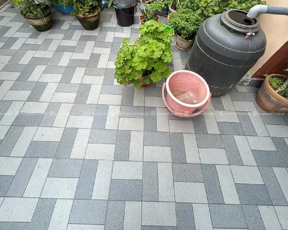 2bhk flat on rent 6