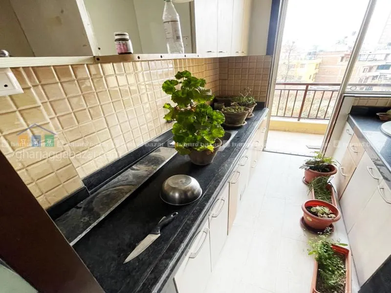 Apartment Sale ravibhawan Soalteecity,GJBAOS 3981 7