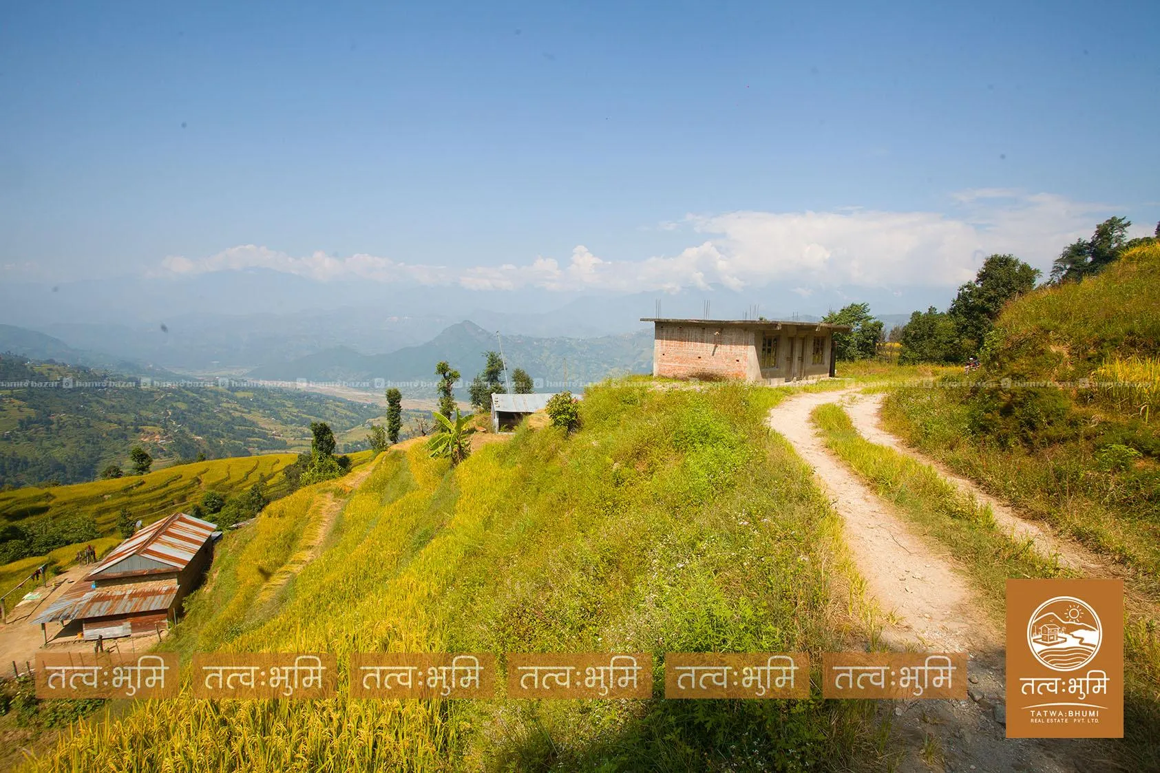 11 Ropani land for sale in Simle- Nuwakot. 8