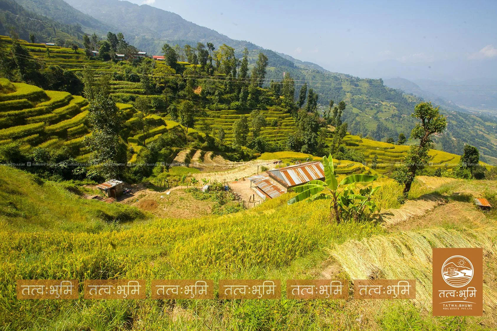 11 Ropani land for sale in Simle- Nuwakot. 3