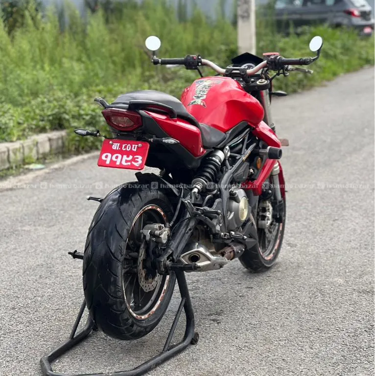 Benelli TNT 300 80 Lot Super Fresh Condition Bike 4