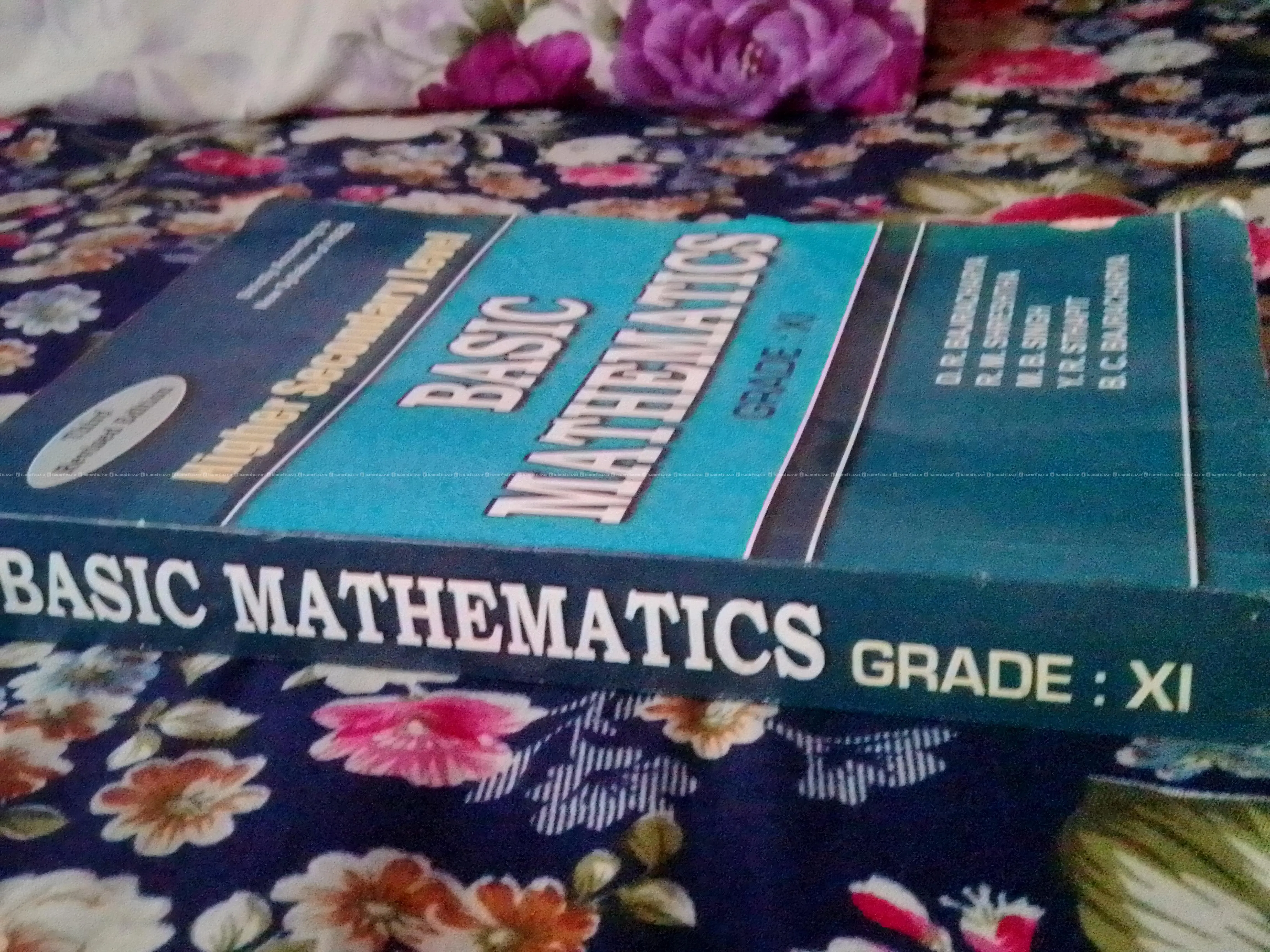 Basic Mathematics grade 11 2