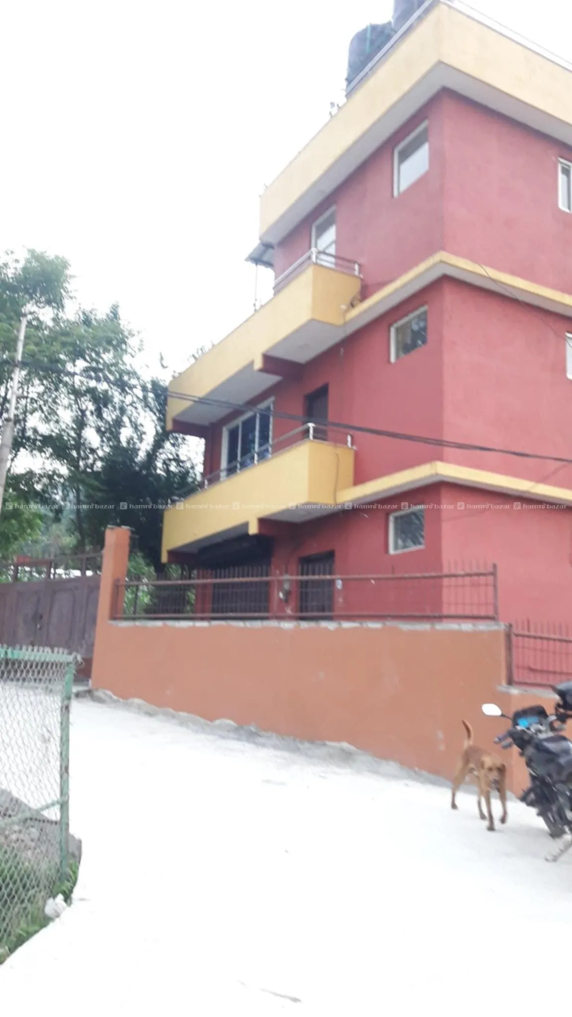 flat for rent 2