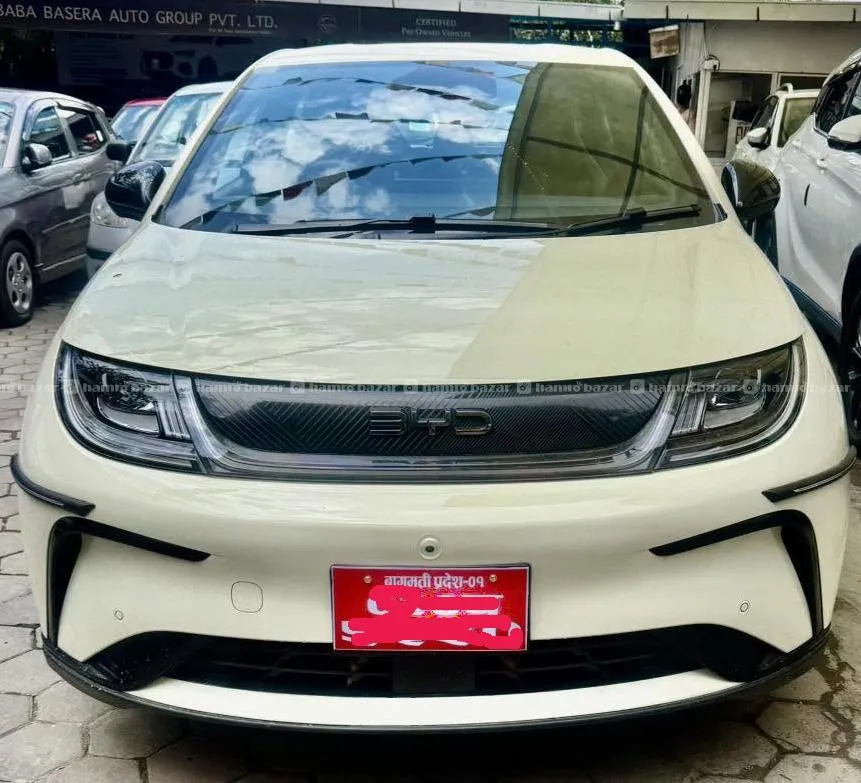 2024 byd dolphin car for sale 1