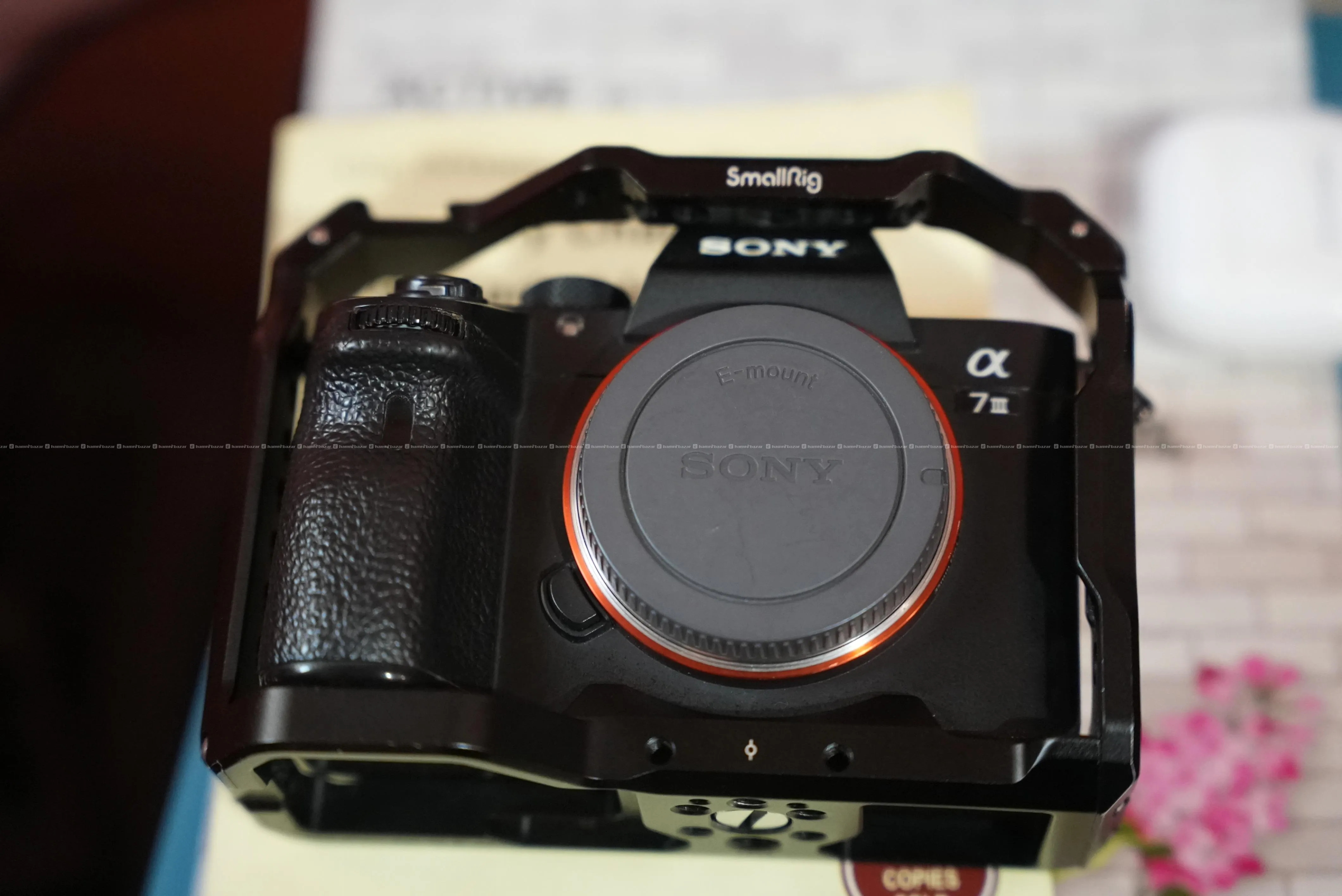 Sony A7III Mirrorless Camera with Small Rig Cage 2
