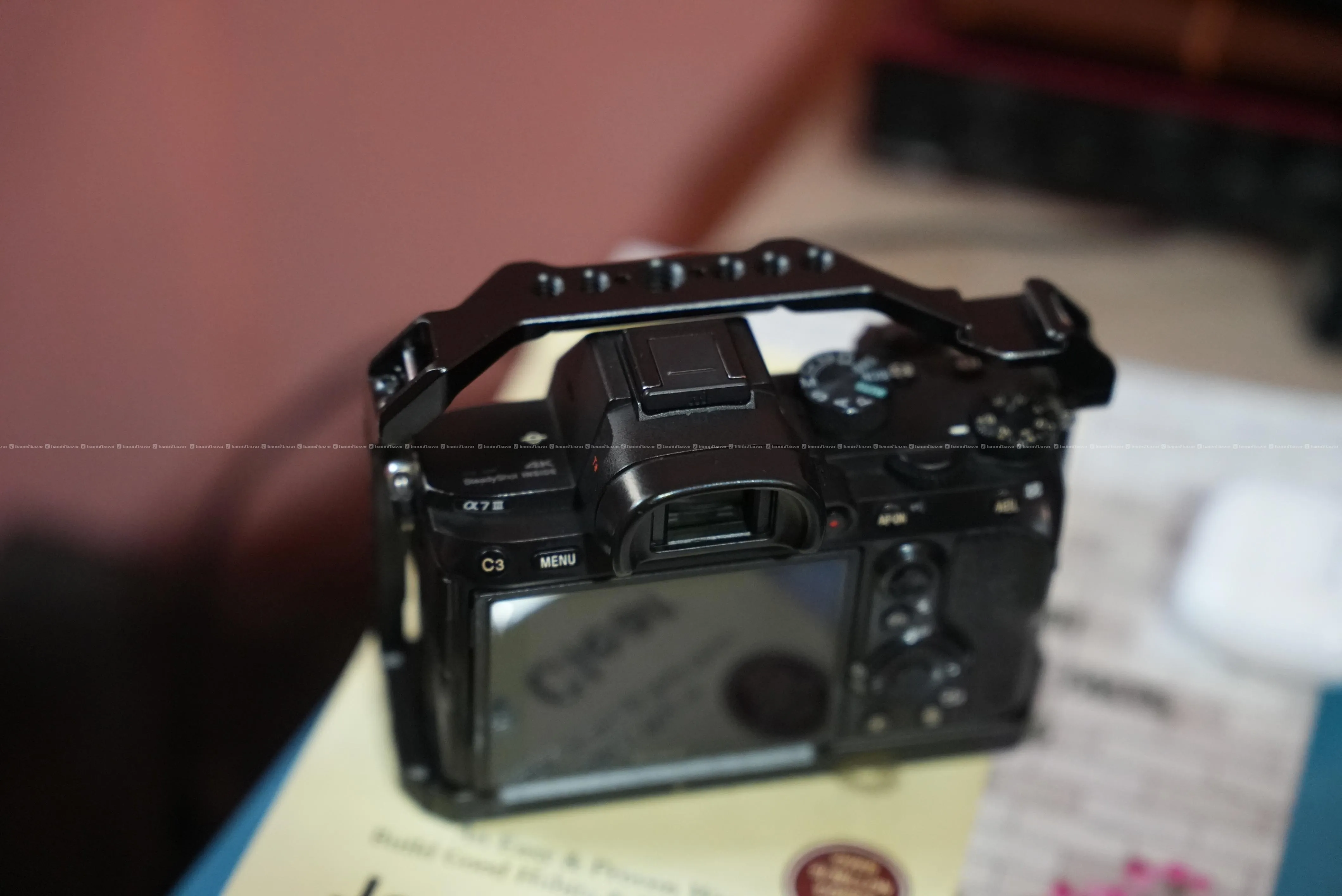 Sony A7III Mirrorless Camera with Small Rig Cage 4