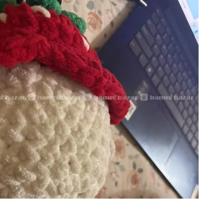 Cute mushroom plushie 2