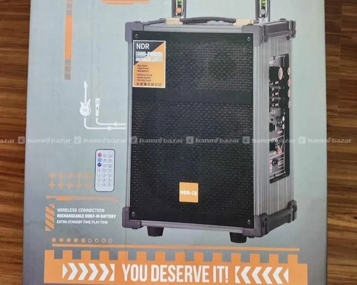 NDR-C8 wireless party speaker 8-inch 2 microphone 2