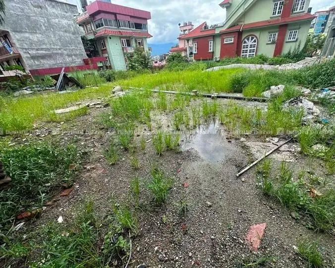 18 aana jagga bhadama 2
