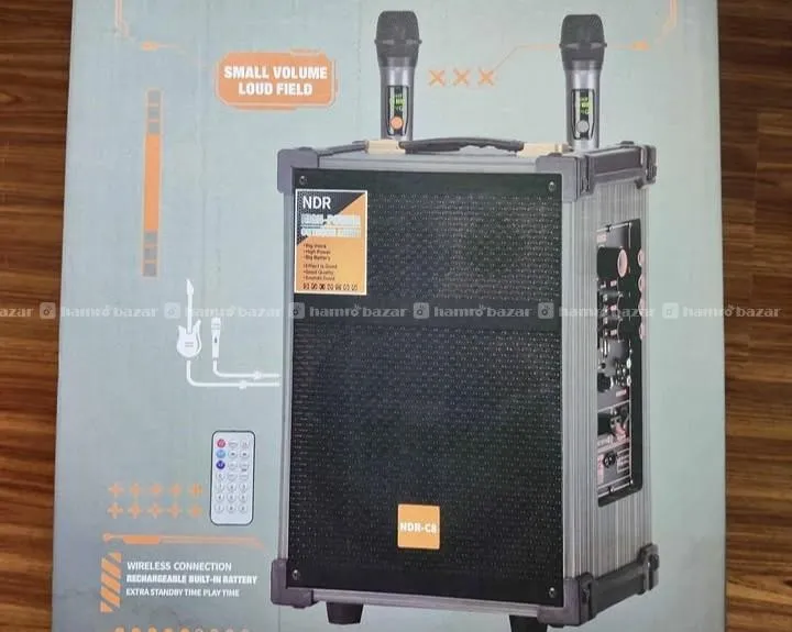 NDR-C8 wireless party speaker 8-inch 2 microphone 4