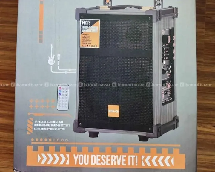 NDR-C8 wireless party speaker 8-inch 2 microphone 3