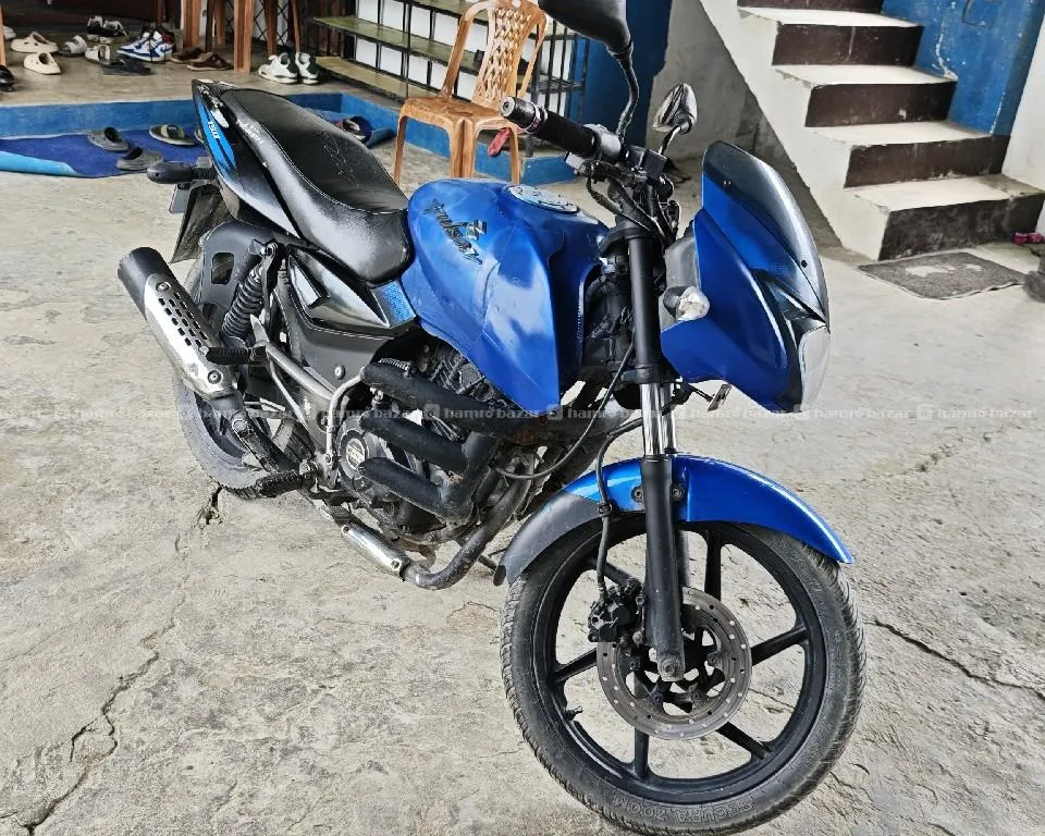 150 Pulser 6