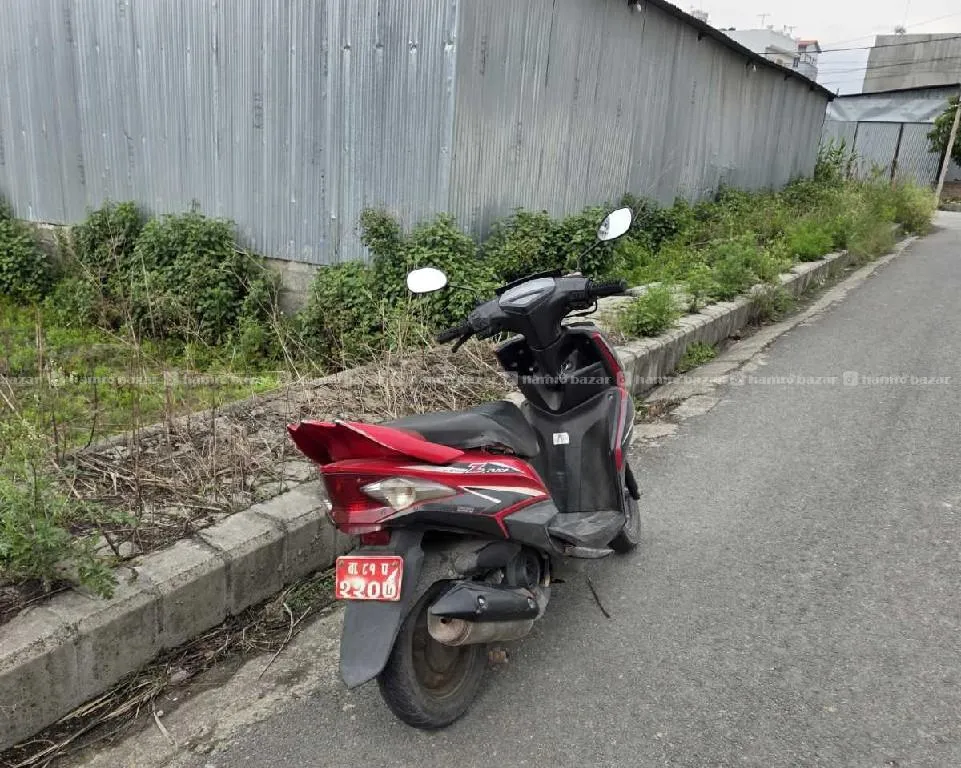 RAYz - 81 lot 9818846575 or 9768397661 3
