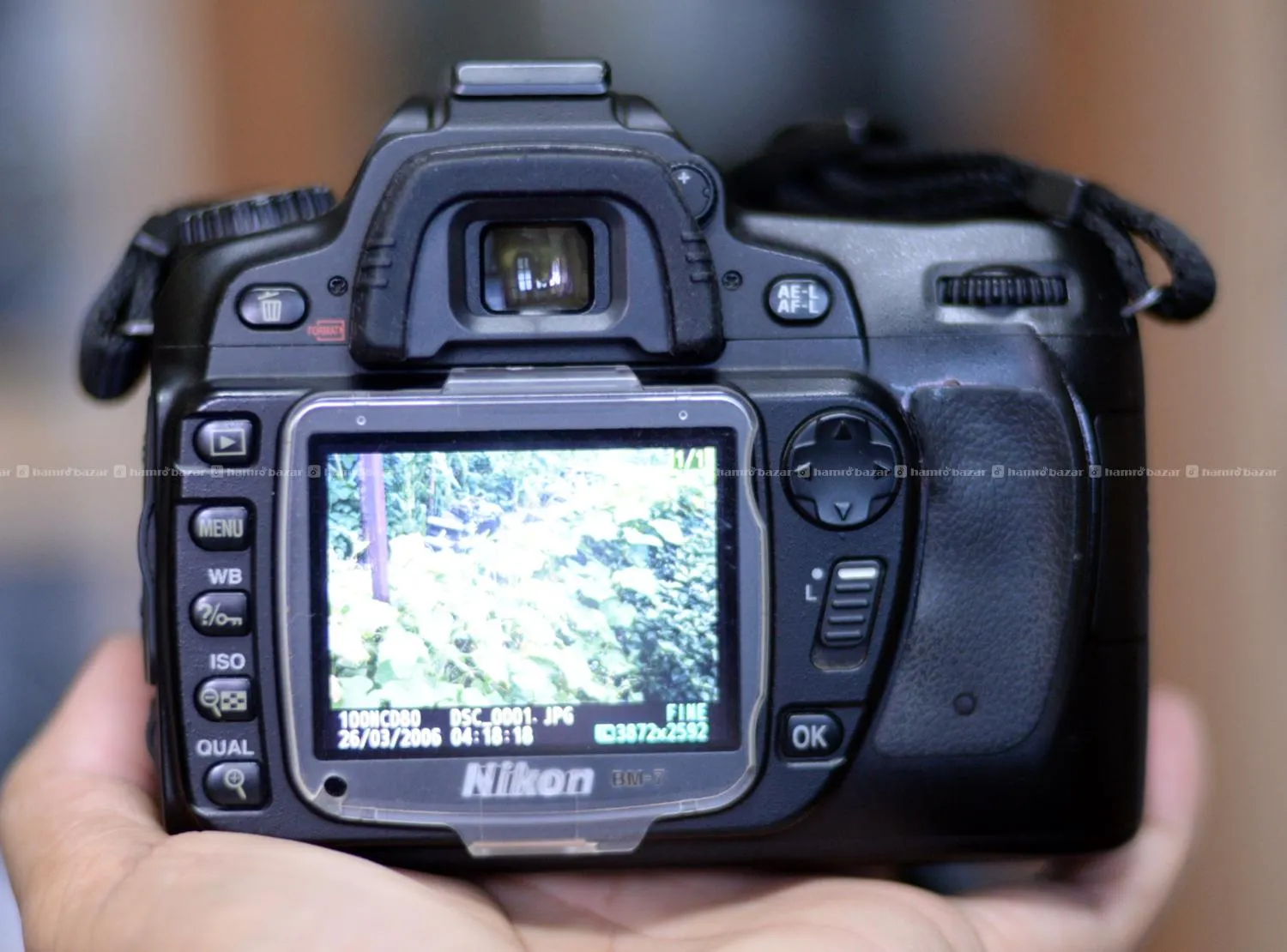 Nikon D80 with 35-80mm Zoom Lens 5