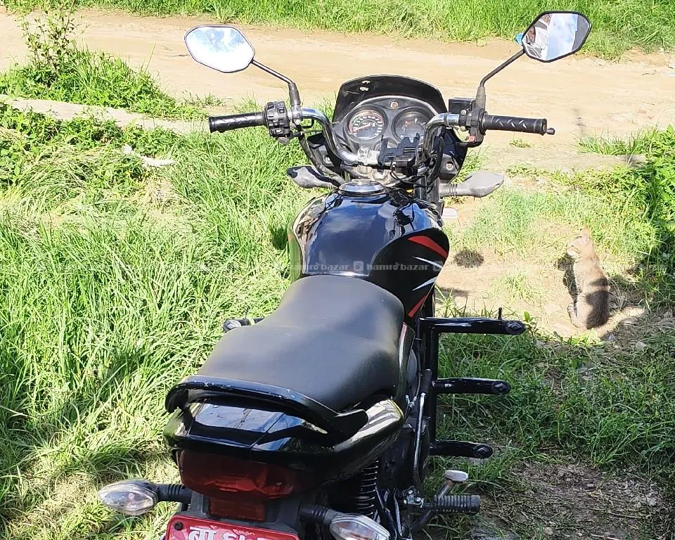 Honda shine 125cc 3