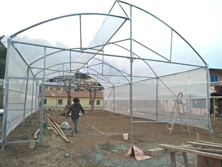 Truss Structure/Welding Works/UPVC roof 5
