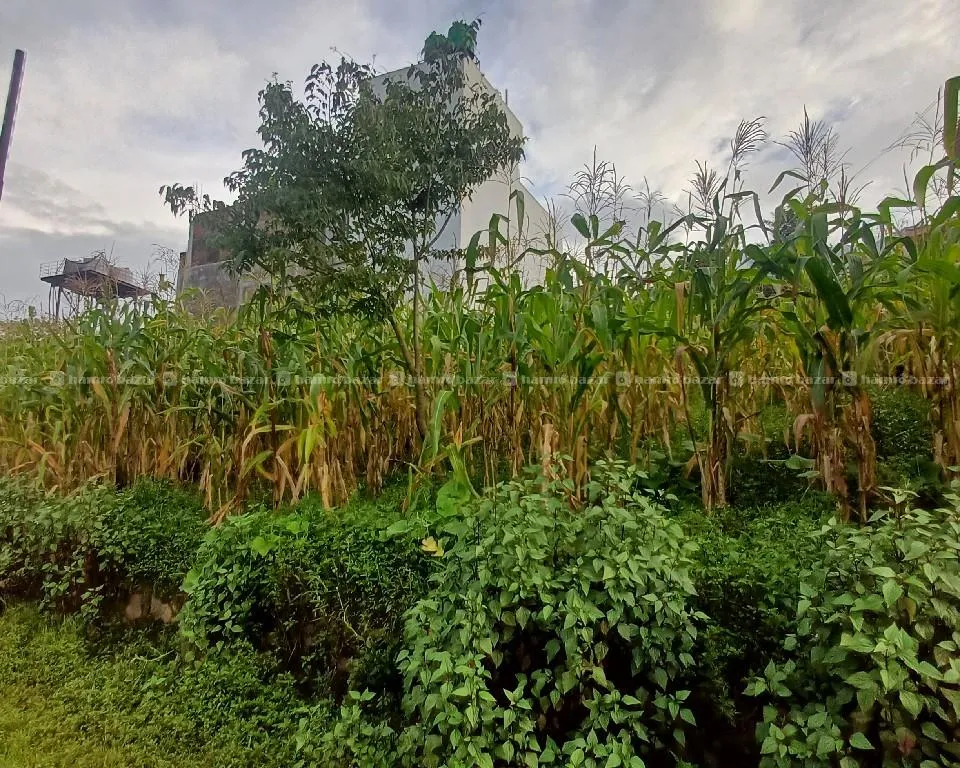 4 Aana Land For Sale In Matathirtha 2