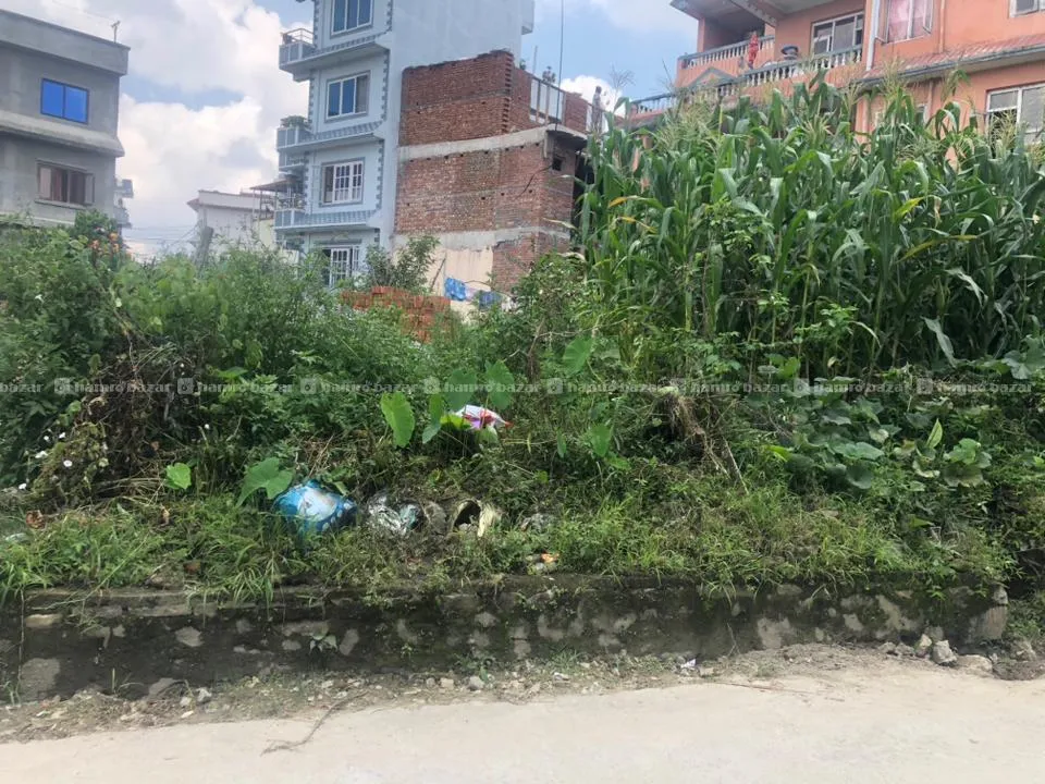Land For Sale. 2