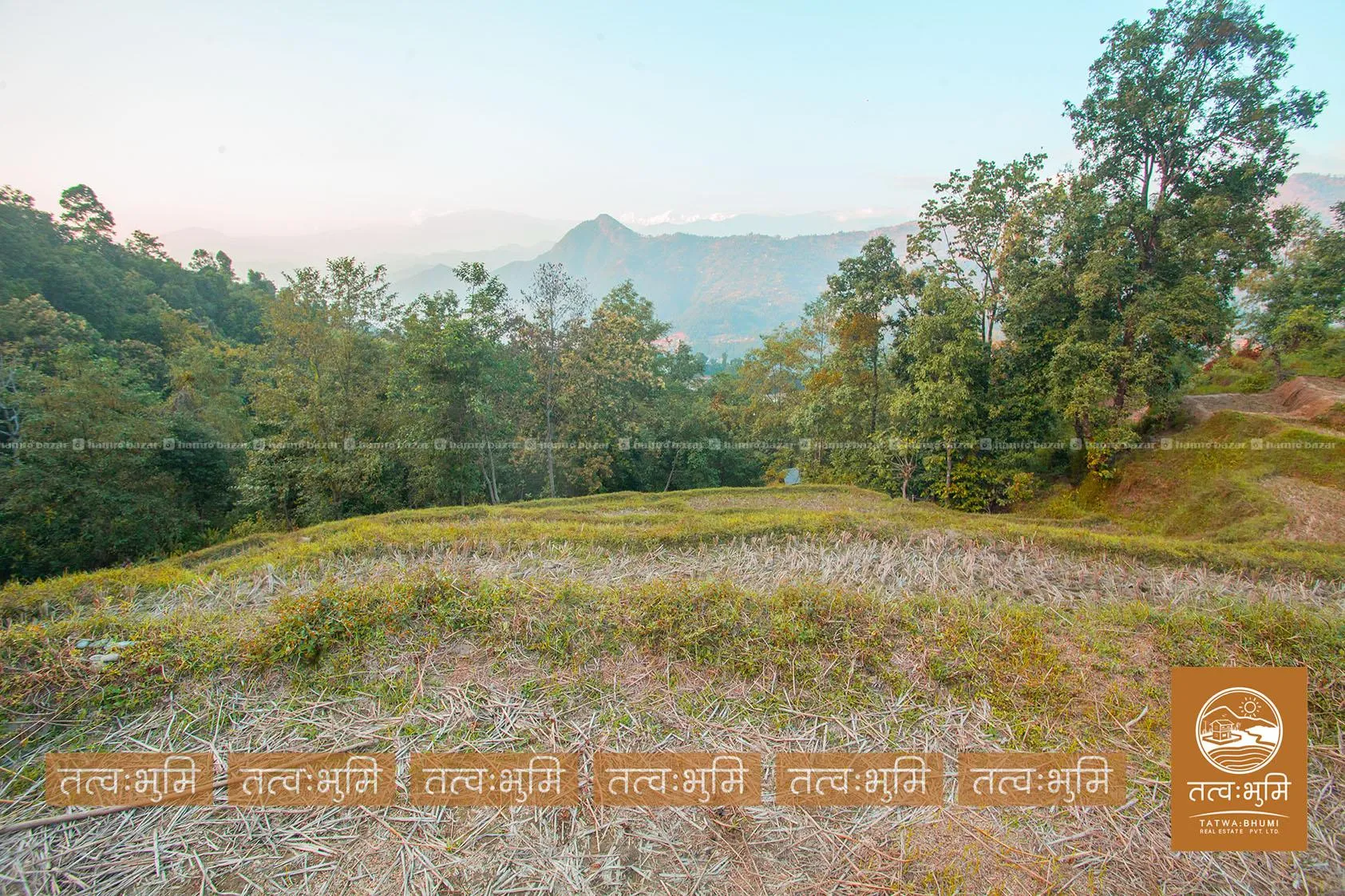 4 Ropani land for sale in Thapagaun - Nuwakot. 5