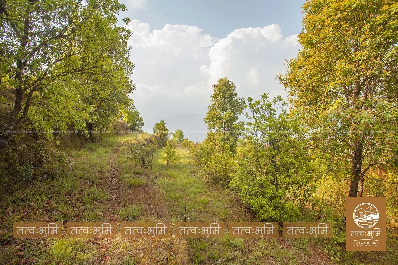 9 Ropani land for sale in Ghalebhanjyag- Nuwakot. 7