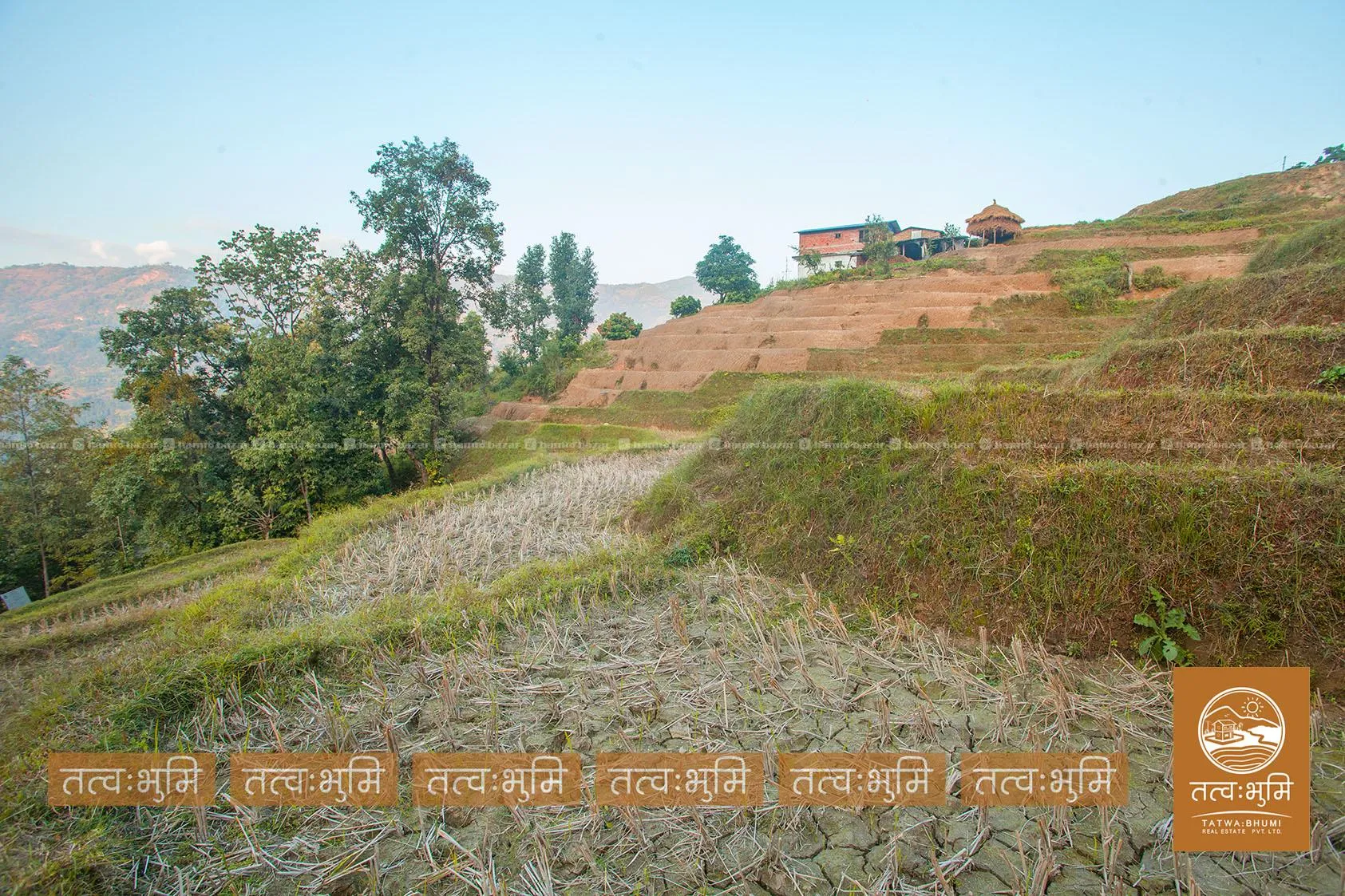 4 Ropani land for sale in Thapagaun - Nuwakot. 7