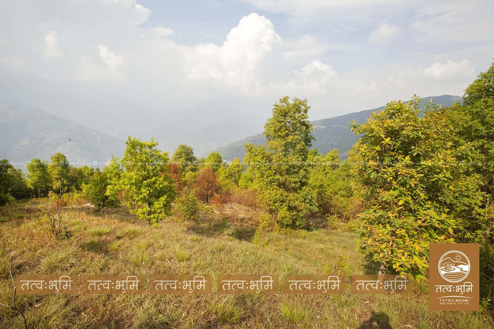 9 Ropani land for sale in Ghalebhanjyag- Nuwakot. 5