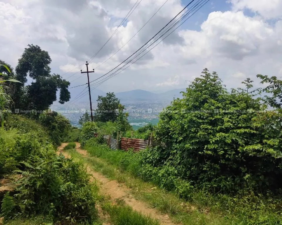 Land on sale 5
