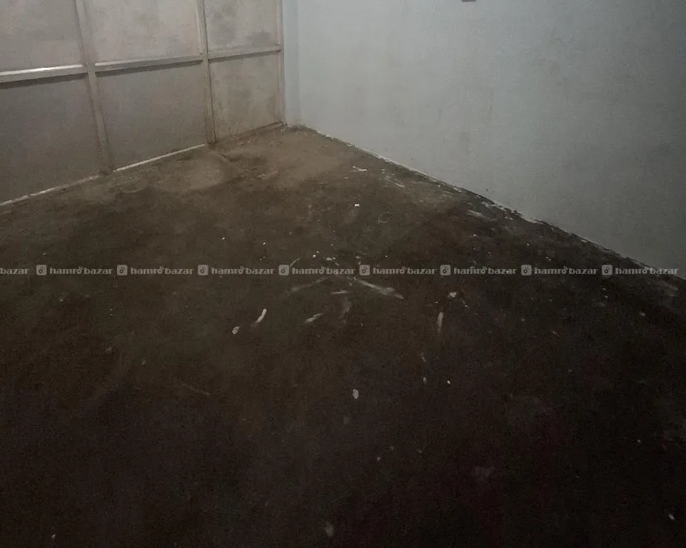 single room 2