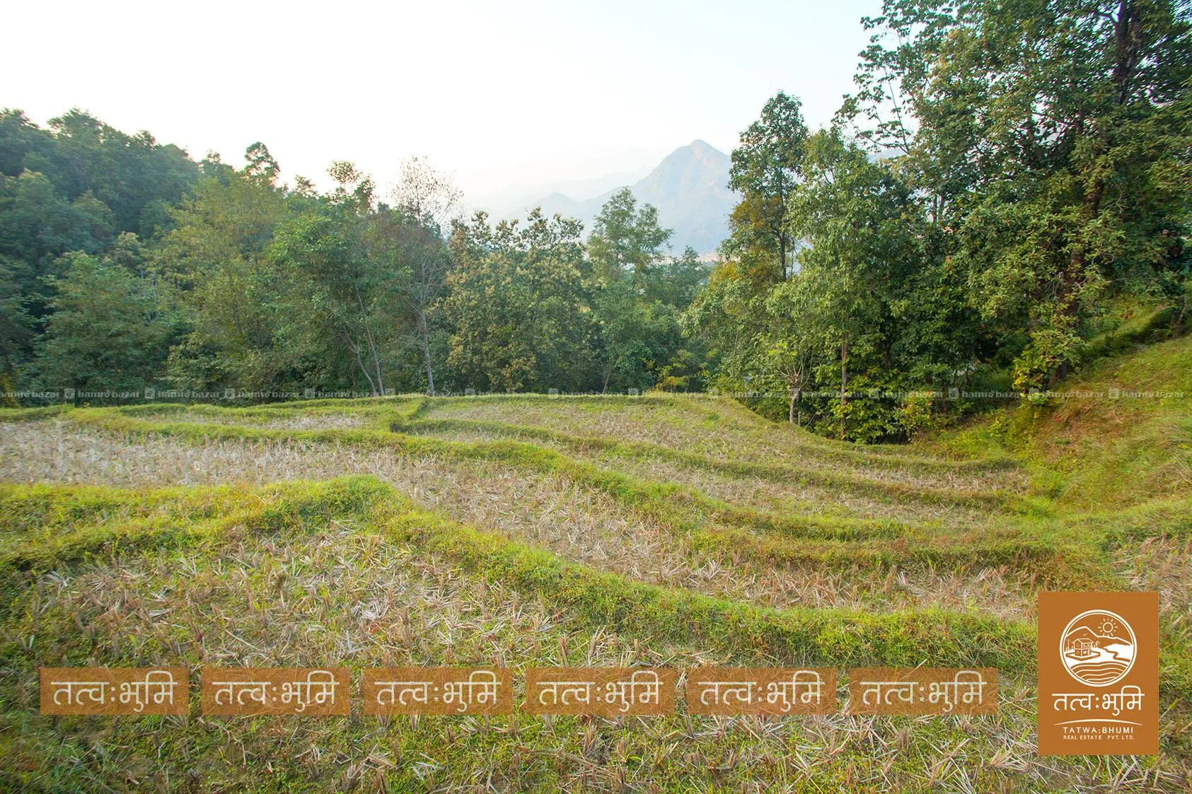4 Ropani land for sale in Thapagaun - Nuwakot. 2