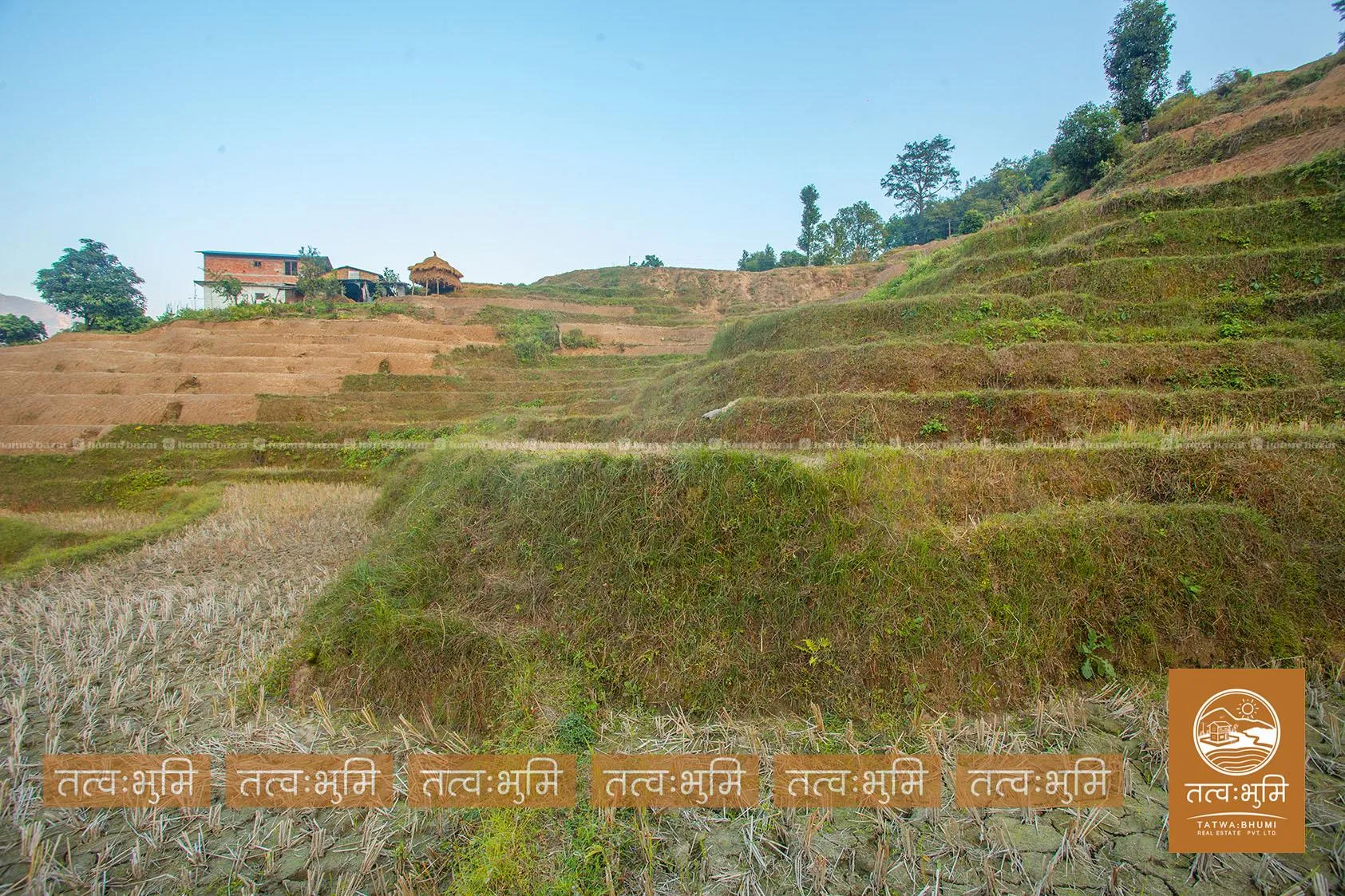 4 Ropani land for sale in Thapagaun - Nuwakot. 8