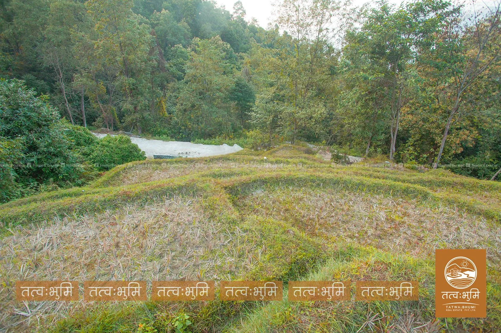 4 Ropani land for sale in Thapagaun - Nuwakot. 3