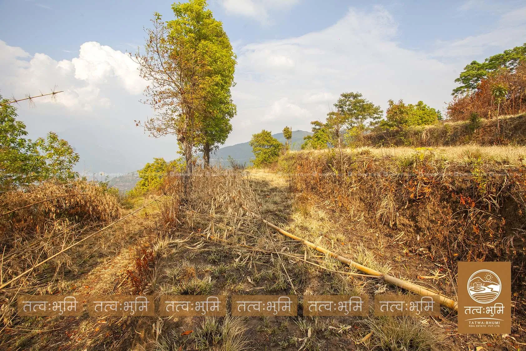 9 Ropani land for sale in Ghalebhanjyag- Nuwakot. 6